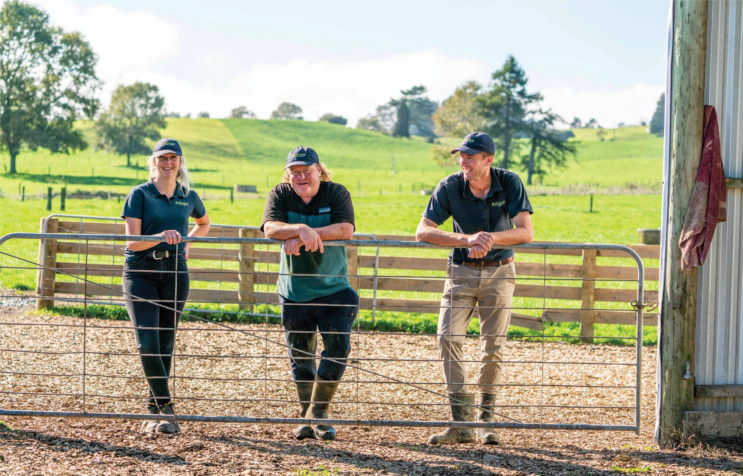 Engineered Breeding High-tech breeding yields genetic gain - Dairy Country