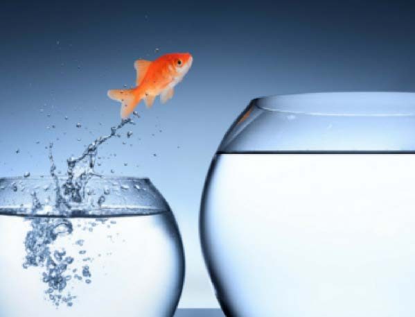 Uncertain Fish Changes in an uncertain environment - Dairy Country